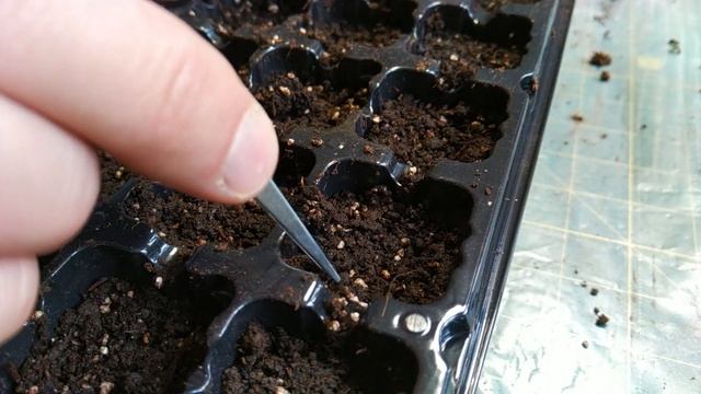 Йога для Гибкости и Силы