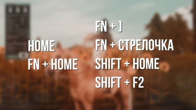 РАБОЧИЙ РЕШЕЙД В ФОТОРЕЖИМЕ В STAR STABLE ONLINE || TUTORIAL RESHADE || Swallow's Tower смотреть онлайн