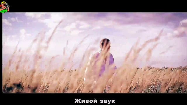 Алексей Петрухин. "ГУСИ" смотреть онлайн