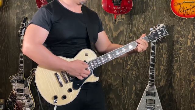 Schecter Solo II Custom смотреть онлайн