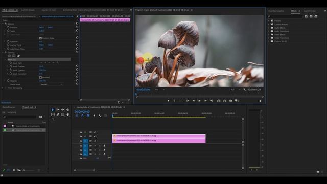 How To Create A Parallax Effect In Premiere Pro смотреть онлайн