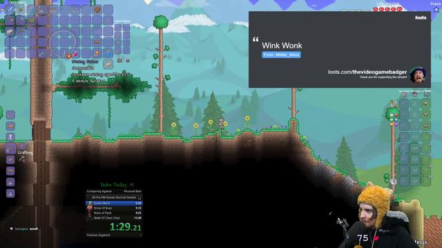 Terraria Speedrun Queen Bee Normal Seeded 3:52 (WR) смотреть онлайн