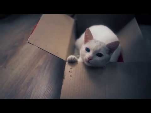 Минута тишины.