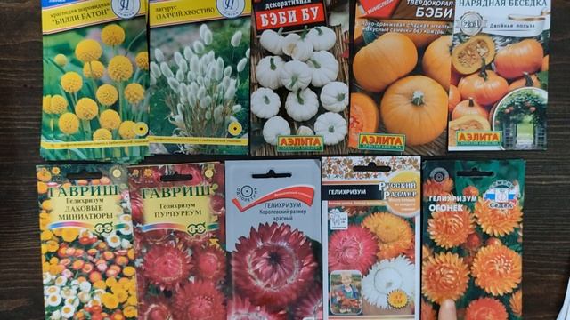 Мои семена цветов - обзор сухоцветов смотреть онлайн