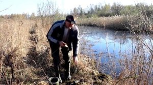 Ловля щуки на бутылку с берега. Fishing in a plastic bottle