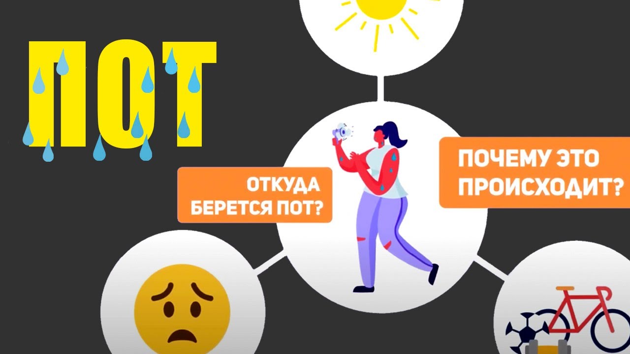 Почему мы потеем? Откуда берется пот и почему он имеет сильный запах смотреть онлайн