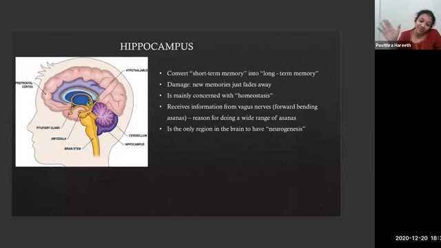 Understanding the Human Body: Introduction to Anatomy and Physiology in Asanas смотреть онлайн