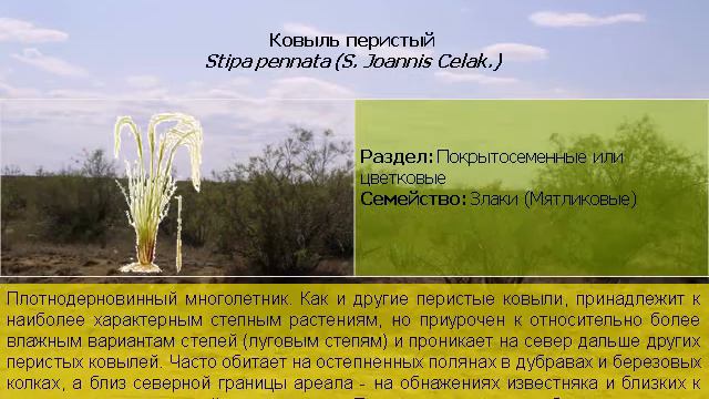 Богдинско Баскунчакский заповедник смотреть онлайн