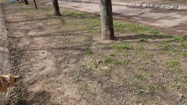 Одесса сейчас 14 апреля. Потоплен крейсер "Москва". смотреть онлайн