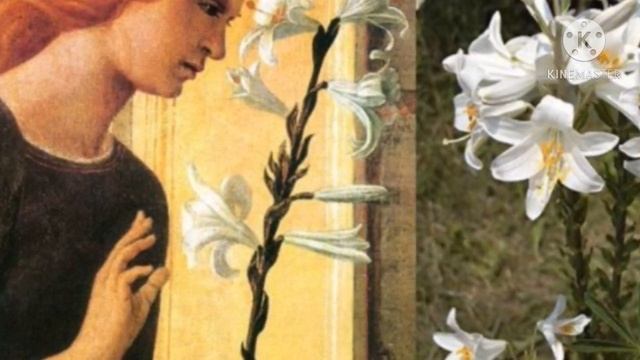 ЛОШАДЬ Характеристика рожденных в год ЛОШАДИ. смотреть онлайн