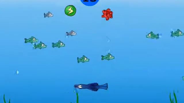 игра Весёлый тюлень приложение в контакте смотреть онлайн