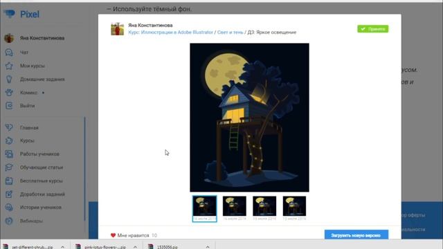 Обучение в школе Pixel. Отзыв о курсе иллюстрации в Adobe illustrator. смотреть онлайн