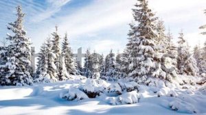 25 февраля - Народный праздник «Алексей Рыбный». Что нельзя делать в этот день.