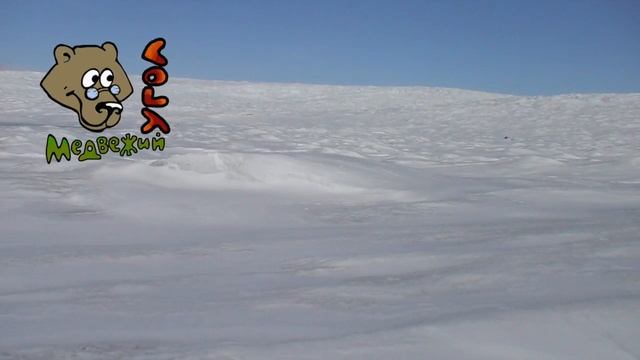 Кедр-целитель СКАЗКА смотреть онлайн