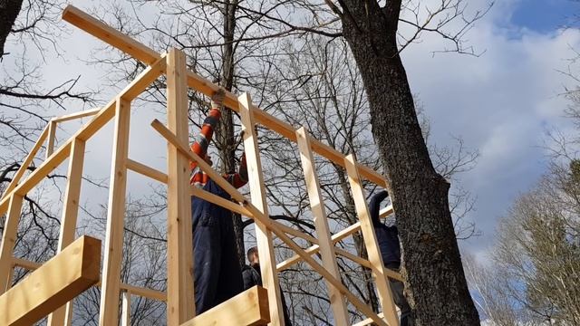 Строительство апидомика на дереве . Последний способ спасти диких поросят . смотреть онлайн