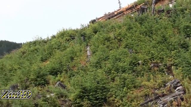 Dangerous Fastest Chainsaw Cutting Tree Machine Skills, Logging Wood Truck & Wood Sawmill Machines смотреть онлайн