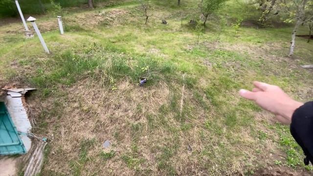 ВЛОГ: НА ДАЧЕ ГРЯДУТ ПЕРЕМЕНЫ! смотреть онлайн