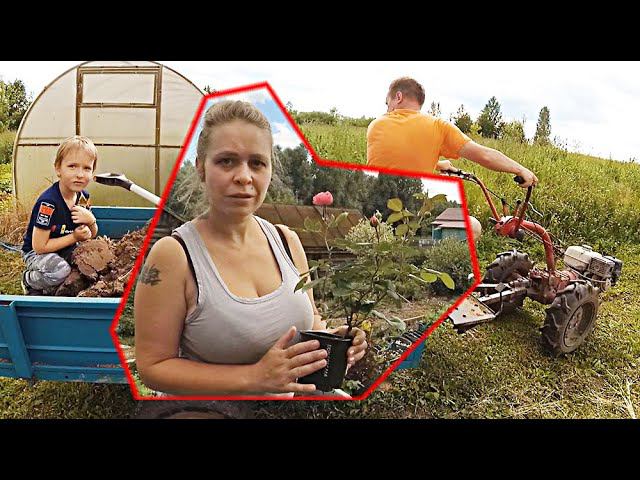 ТРУДИМСЯ НА УСАДЕ // Как быстро и просто уничтожить грибок, плесень, насекомых, бактерии и вирусы. смотреть онлайн