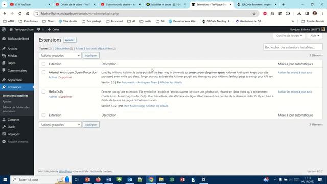Qu'est-ce qu'une extension WordPress ? (WP035) смотреть онлайн