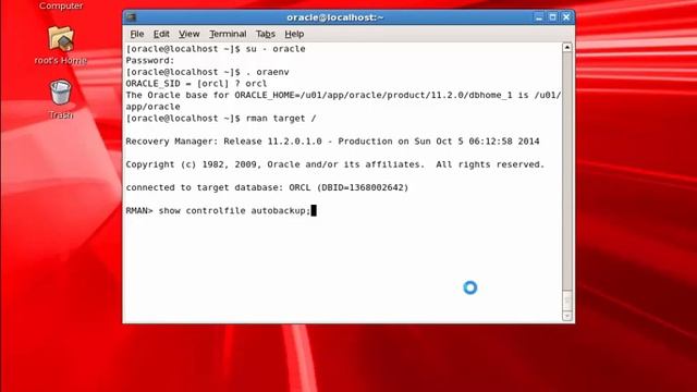 RMAN - Oracle 11g Release 2 смотреть онлайн