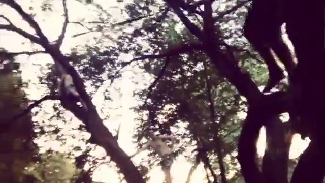 Тарзанка в Минске смотреть онлайн
