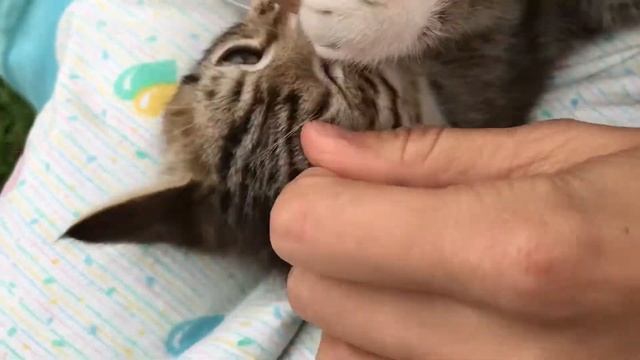 Секреты Умения