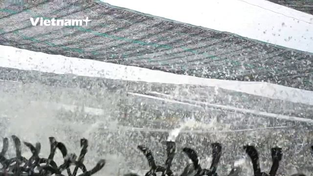 Разведение креветок в водоемах смотреть онлайн