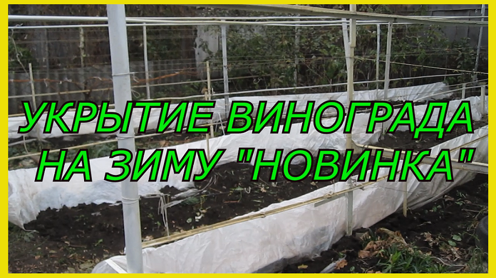 Как укрыть виноград на зиму.Подготовка винограда к зимовке.Как укрыть виноград на зиму. смотреть онлайн