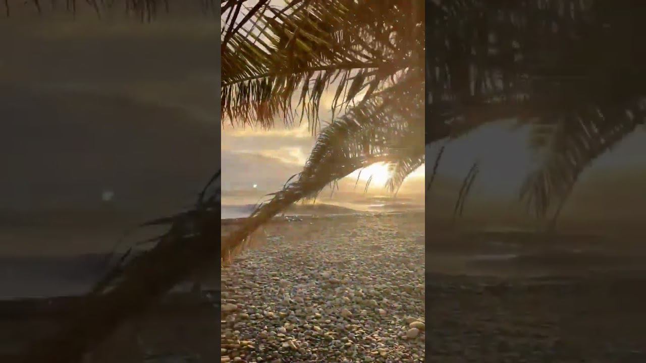 Пляж рядом с парком-отелем "Озеро Дивное" #shorts #лазаревское #озеродивное #пляжлазаревское #сочи смотреть онлайн