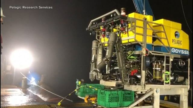 Wife, mother of 2 passengers on ill-fated Titan submersible speaks out смотреть онлайн