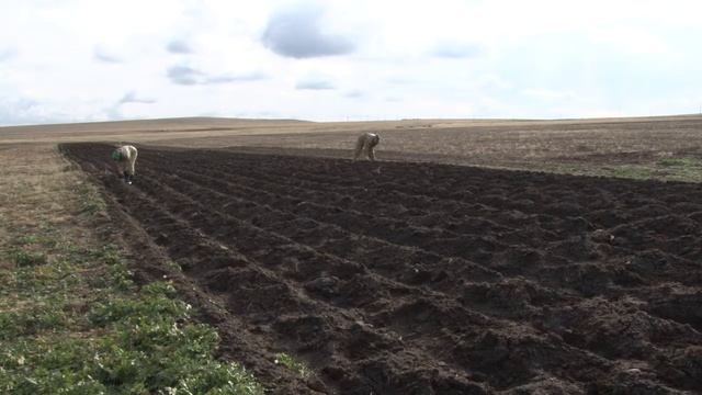 Новый сезон посадок 2016 на органической ферме Натура Сиберика смотреть онлайн