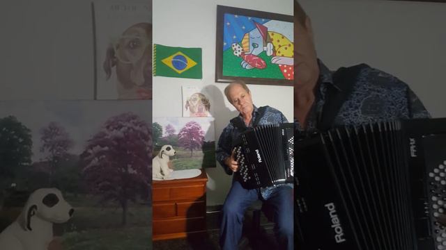 Cruauté d'un Songe Accordeon Roland FR-1X смотреть онлайн
