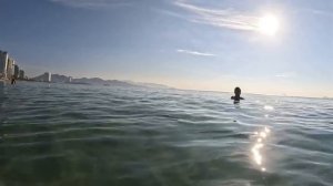 Рыбалка в Нячанге на пляже. Собака в море. Прозрачная вода в Нячанге сегодня. Красивая девушка.