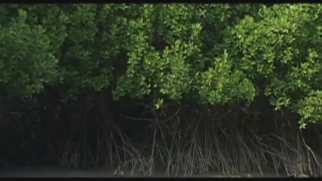 Бангладеш. Едем в Бангладеш.