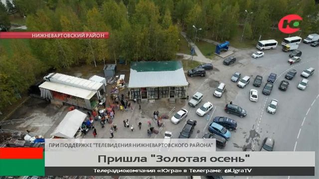 Жители Нижневартовского района пополнили запасы на ярмарках «Золотая осень» смотреть онлайн