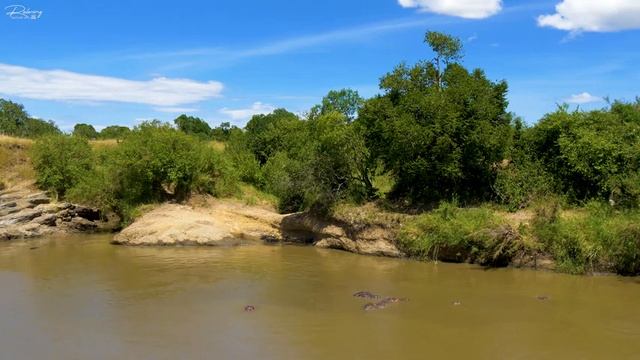 4K African Wildlife : Tsavo West National Park, Kenya - Scenic Wildlife Film With Real Sounds