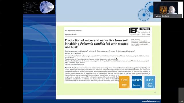 #SeminarioDeInvestigación: Dr. Victor Manuel Castaño Meneses смотреть онлайн