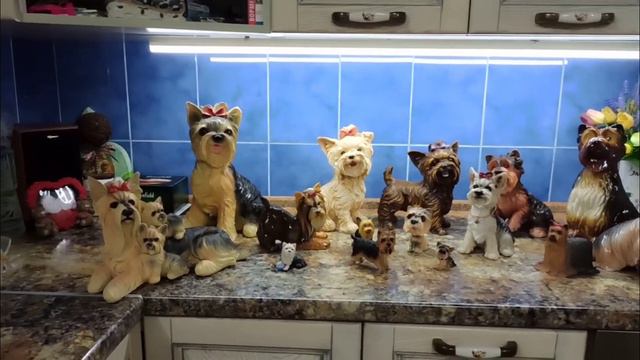 Моё хобби йоркширские терьеры) смотреть онлайн