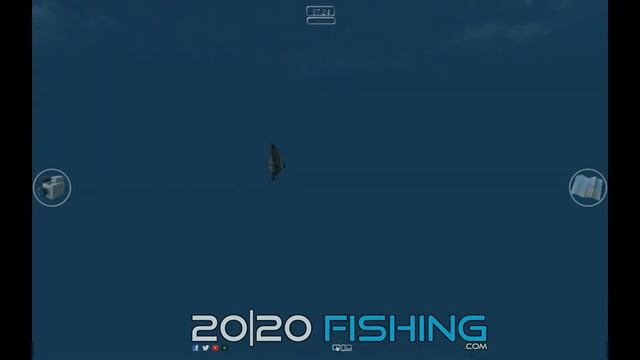2020 Fishing смотреть онлайн