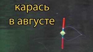 Ловля карася. Рыбалка на поплавок.