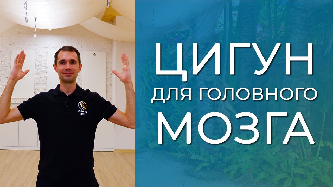 Цигун для мозга смотреть онлайн