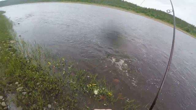 Рыбалка на семгу 2021г. Кольский полуостров смотреть онлайн