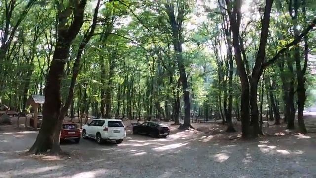 Свежие кутабы в азербайджанском лесу в Габале | Габала Азербайджан смотреть онлайн