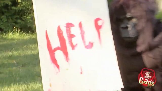 Скрытая камера № 43