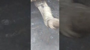 прочистка канализаций крот.