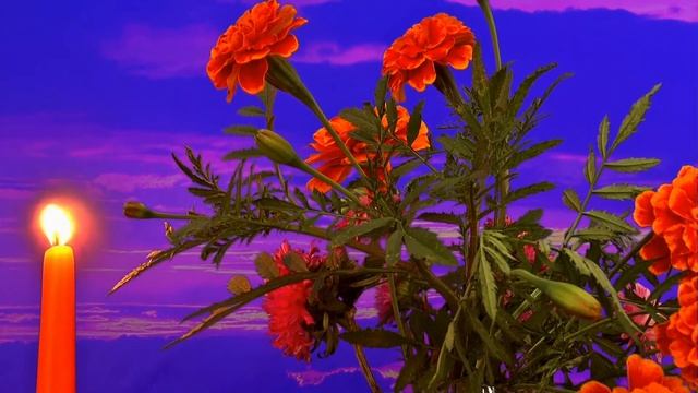 Почему мамы одних детей любят больше, а других меньше? смотреть онлайн