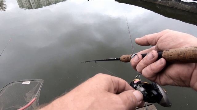 Рыбацкий кордон. Обзор водоёма. Приманки для форели. Ловля форели. смотреть онлайн