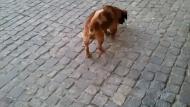 Танцующая попа смотреть онлайн