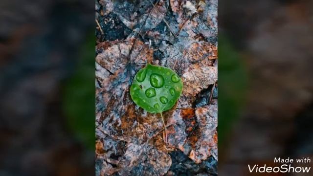 Tina Turner - Mother Within смотреть онлайн