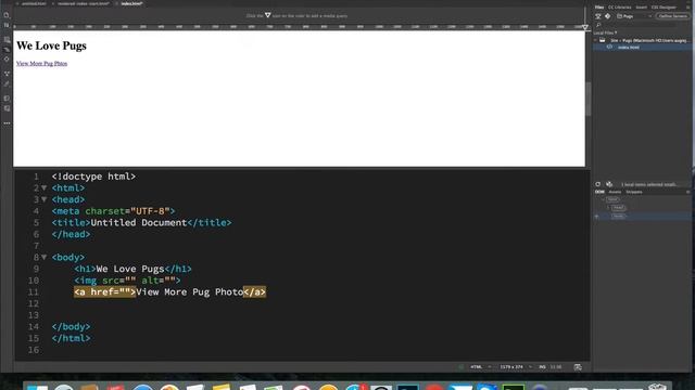 Pug Website Video 1 of 2 смотреть онлайн